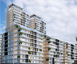 אפרים צור מילרוד_3